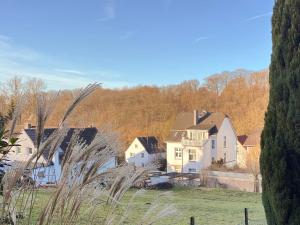 a group of houses in a field with trees at Stilvolle, ruhige Wald-FeWo - Kaminofen, Dachterrasse, hundefreundlich in Remscheid