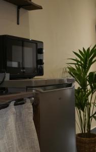 a kitchen with a refrigerator and a tv and a plant at Le Petit Provençal in Sénas