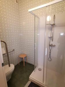 a bathroom with a shower and a toilet at Antico Borgo 2 in Cadarese