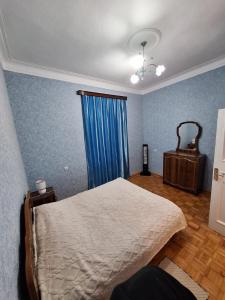 a bedroom with a bed and a blue wall at Central Apartment Tskaltubo in Tsqaltubo