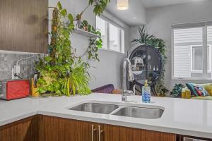 a kitchen with a sink and lots of plants at Spacious Denver Home with Private Rooftop Spa in Denver +49 photos