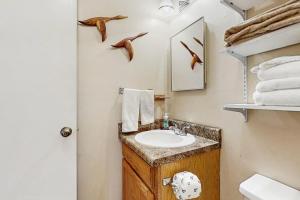 a bathroom with a sink and birds on the wall at Misty Woods #4 in Sugar Mountain +8 photos