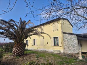a palm tree in front of a building at B&B Bella di Notte in Lugo