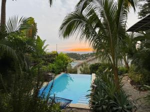 a swimming pool in a garden with a view of the ocean at Poolside Cabaña Studio with stunning ocean view in Puerto Escondido +12 photos