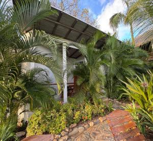 a house with palm trees in front of it at Poolside Cabaña Studio with stunning ocean view in Puerto Escondido