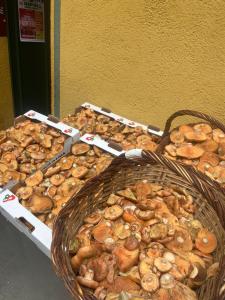 two baskets filled with different types of mushrooms at Hostal Ripollès in Ripoll +6 photos