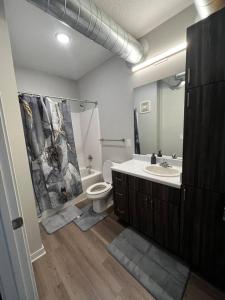 a bathroom with a sink and a toilet and a mirror at Axis Suite in Des Moines +19 photos
