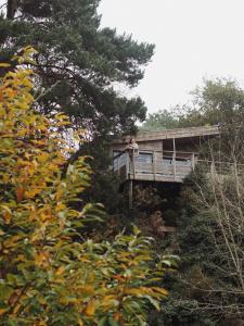 a person standing on a bridge in the trees at Carrière Sauvage in Pont-Aven
