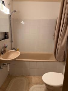 a bathroom with a sink and a tub and a toilet at Ruhiges Apartment am See in Altnau