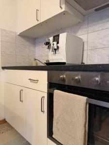 a kitchen with a white appliance on the stove at Ruhiges Apartment am See in Altnau