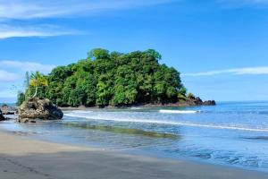 a beach with a tree covered island in the ocean at Apartamento Paraiso Nuquí in Nuquí