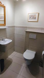 a bathroom with a toilet and a sink at La Porte Noire in Courcelles +30 photos