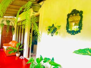 a room with plants on the side of a building at Peradeniya Inn in Kandy