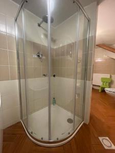 a shower with a glass door in a bathroom at Apartment Krkonošská in Tanvald +60 photos