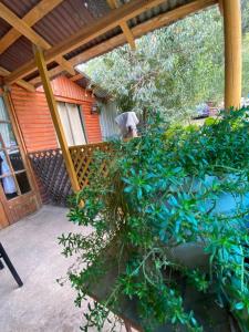 an outdoor patio with a potted plant and a building at Cabañas Donde Nancy in Hornillos