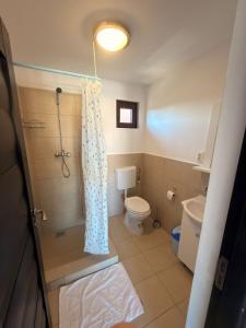 a bathroom with a toilet and a shower curtain at Casa David Turda in Turda +15 photos