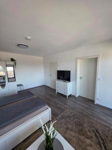 a large room with a bed and a television at Gemütliche Ferienwohnung in Mülheim-Kärlich