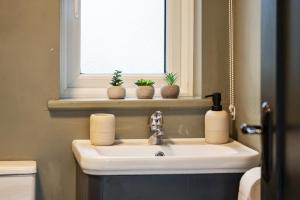 a bathroom sink with three plants on a window sill at The Meadows at Marlhill in Tipperary +10 photos