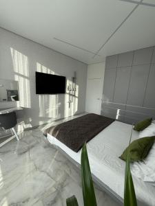 a bedroom with a large bed and a tv at ЖК Елегія парк in Odesa