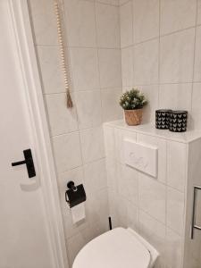 a bathroom with a toilet with a plant on a shelf at Puur 38 in Simpelveld +14 photos