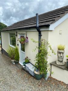 a house with potted plants on the side of it at Rosehill annexe in Knighton +3 photos