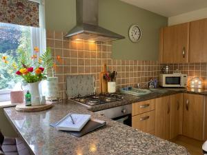 a kitchen with a stove and a counter top at Rosehill annexe in Knighton