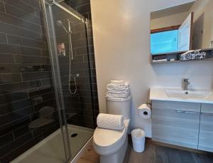 ein Badezimmer mit Dusche, Toilette und Waschbecken in der Unterkunft Le Perchoir in Saint-Félix-d'Otis + 24 Fotos
