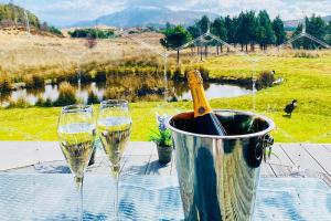 two glasses of wine and a bucket of champagne at Mingarry Park in Acharacle