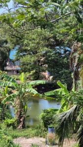 a bridge over a body of water with trees at PB325 Ideal studio apartment in Phuket in Ban Mai Salae