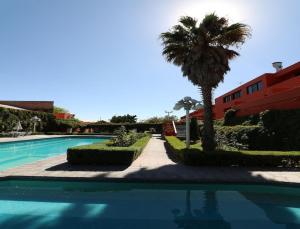 a swimming pool with a palm tree next to a building at Hotel Vilamiño in Aguascalientes