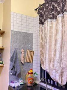 a kitchen with a shower curtain and a counter top at Ways Rest in Msaranga