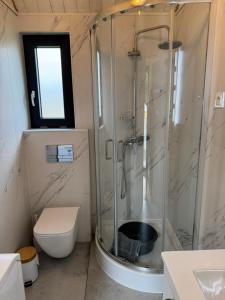 a bathroom with a shower and a toilet at Sosnowe Zacisze in Dębki +11 photos
