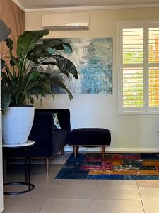 a living room with a couch and a plant at Campbell comfort and convenience in Campbell +3 photos