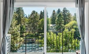 a window with a view of a forest at Riverview Pet Friendly Condo in Downtown Bend in Bend +29 photos