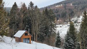 a small cabin on a snow covered hill with trees at Chatka Bratka in Kletno