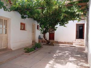 a house with a tree in the courtyard at Posada Las Piedras in Tilcara