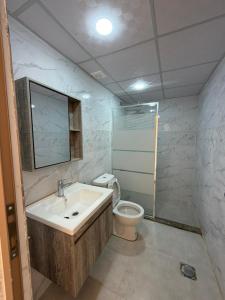 ein Badezimmer mit Waschbecken und Toilette in der Unterkunft Red Twilight Camp in Disah + 85 Fotos