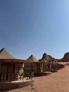 a row of tents in the desert at Mangle luxury rum camp in Disah