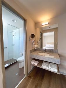 a bathroom with a sink and a toilet and a mirror at DM Hoteles Nasca in Nazca +11 photos