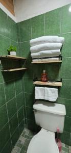 a green tiled bathroom with a toilet and towels at Casa Petunia, Managua in Managua +32 photos
