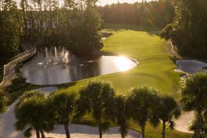 a golf course with palm trees and a pond at Stunning Sunset Scenes in Wesley Chapel