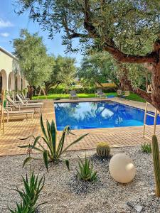 a swimming pool in the middle of a yard at Dariana guesthouse in Marrakesh +50 photos