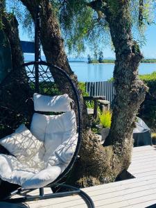 a wicker chair sitting under a tree next to the water at The Point Studio in Nelson