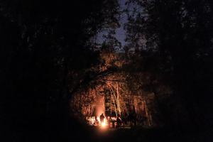 a group of people standing in a forest at night at Moconá Virgin Lodge in Moconá Falls