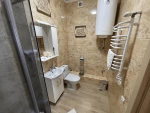a small bathroom with a toilet and a sink at Золота Поляна in Polyana +45 photos