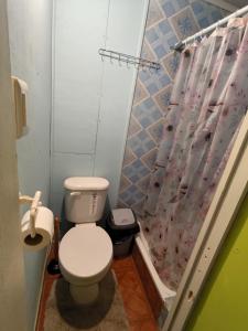 a bathroom with a toilet and a shower curtain at Los Tatas in Colbún