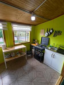 a kitchen with green walls and a sink and a stove at Los Tatas in Colbún