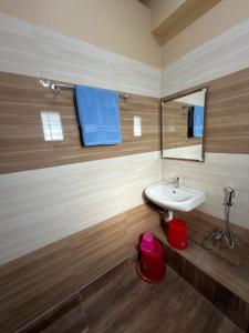 a bathroom with a sink and a mirror at Palashbhumi Resort in Barhanti
