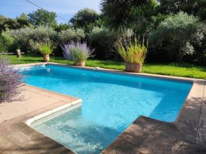 a swimming pool in a yard with potted plants at La Janneto in Carpentras
