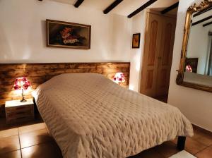a bedroom with a bed and a mirror at La Janneto in Carpentras